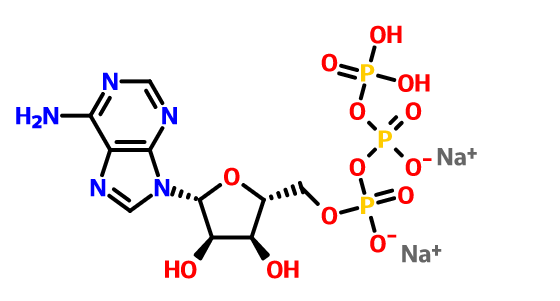Adenozin-trifoszfát-diszdium CAS-szám: 987-65-5