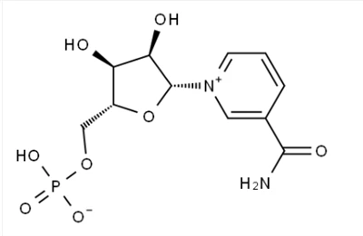 - nikotinamid-mononukleotid1094-61-7